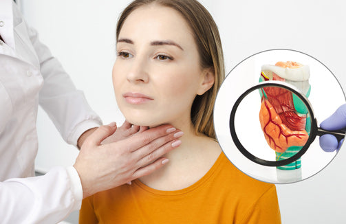 LowTE Florida Iodine+